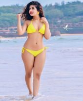 Call Girls In Sect-61 Noida 9821811363 Top Escorts ServiCe In Delhi Ncr