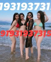 North Goa ::Goa Call Girls 9319373153 Goa Female Escort